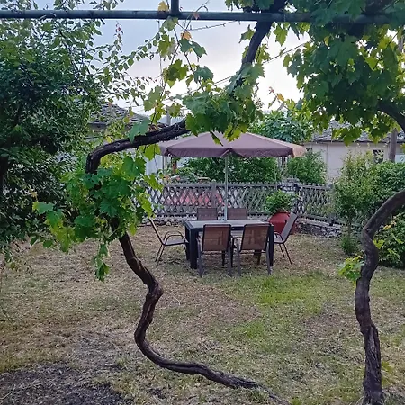 Case de vacanță Family Garden House *