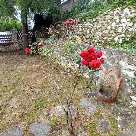Family Garden House Case de vacanță